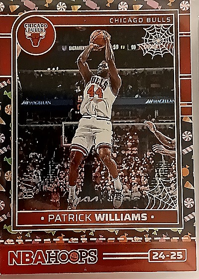 2024-25 Panini NBA Hoops Haunted Hoops #24-25 Patrick Williams — front