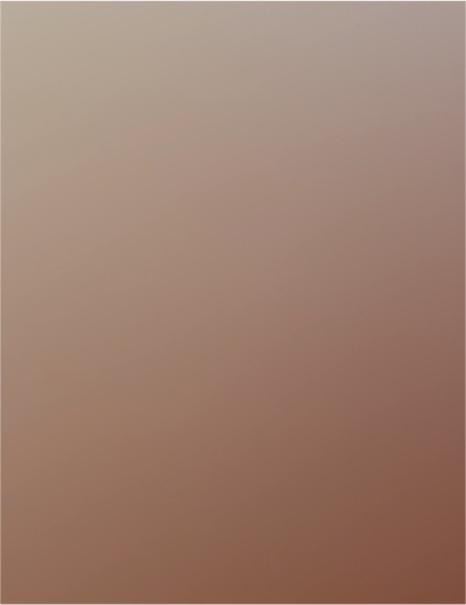 Hasegawa Trytool TF23 Clear Orange Finish 90mm x 200mm — front