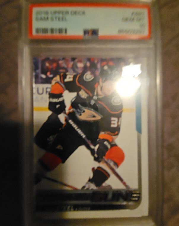 2019 Upper Deck Series 1 #243 Adam Ginning — front