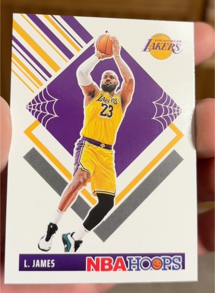 2024-25 Panini NBA Hoops Tribute #282 LeBron James — front
