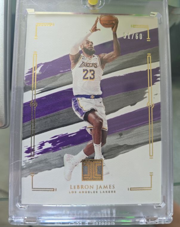 2020-21 Panini Impeccable #54 LeBron James — front