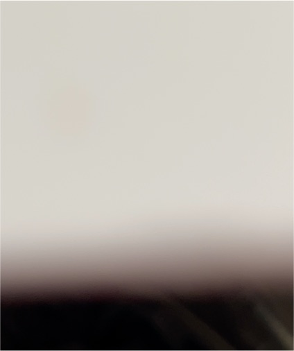 Koronis Windshield-Standard Height-Smoke — front