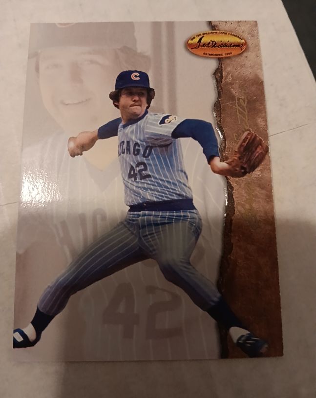 1994 Ted Williams Card Company #18 Bruce Sutter Chicago Cubs — front