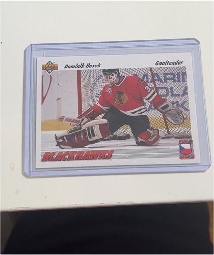 1991-92 Upper Deck Euro Stars #E14 Dominik Hasek — front