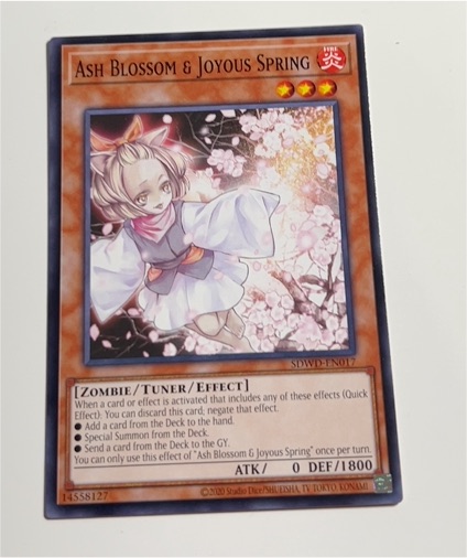 Yu-Gi-Oh! SDWD-EN012 Ash Blossom & Joyous Spring — front