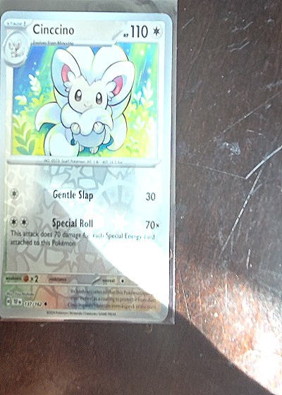 2024 Pokemon SV05: Temporal Forces #137 Cinccino — front