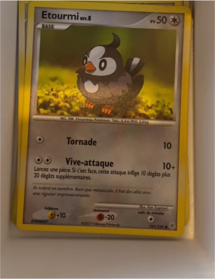 2007 Pokémon Diamond & Pearl #101 Etourmi — front