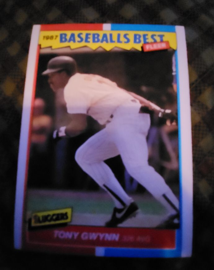 1987 Fleer Baseball's Best Sluggers #17 Tony Gwynn — front