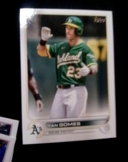 2022 Topps Series 1 #294 Yan Gomes — front