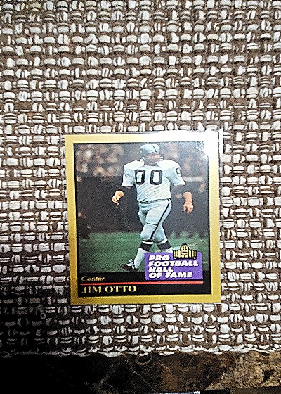 1991 ENOR Pro Football Hall of Fame #111 Jim Otto — front