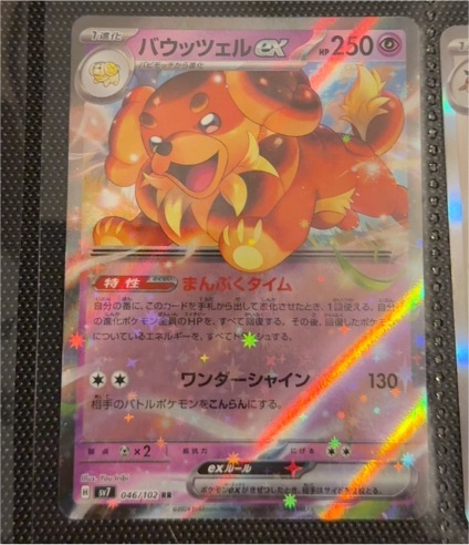 Dachsbun ex 046/102 Sv7 Stellar Miracle — front