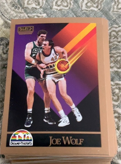 1990-91 Skybox #381 Joe Wolf — front
