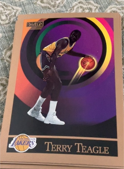 1990-91 SkyBox #392 Terry Teagle — front
