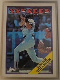 1988 Topps #411 Wayne Tolleson — front