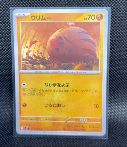 2025 Pokémon Scarlet & Violet Battle Partners #044 Swinub — front