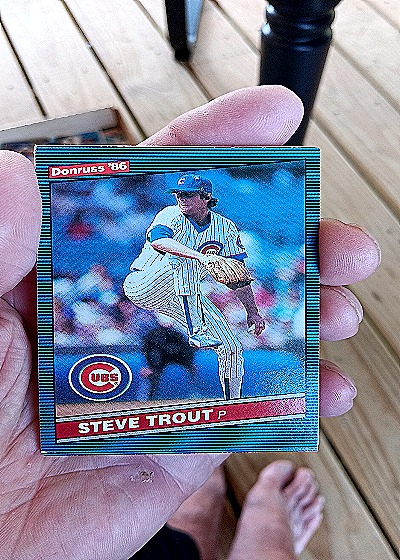 1986 Donruss #117 Steve Trout — front