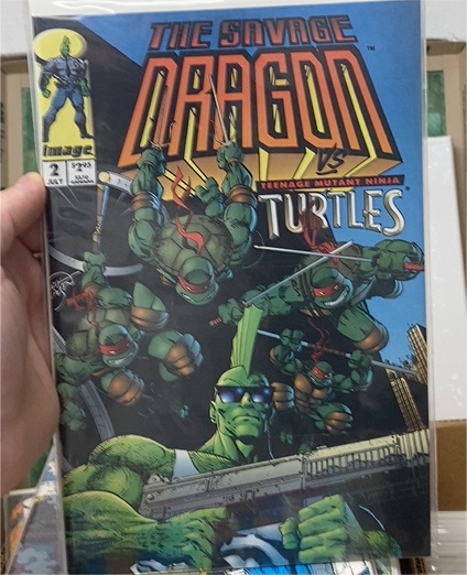 The Savage Dragon vs Teenage Mutant Ninja Turtles #2 (1993) Image Comics — front