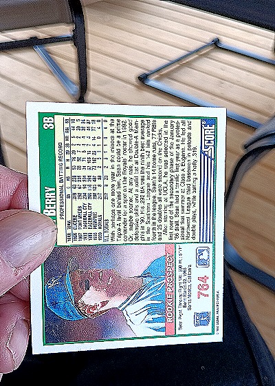 1991 Score #375 Sean Barry Rookie Prospect — back