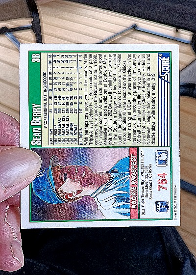 1991 Score #764 Sean Berry Rookie Prospect — back
