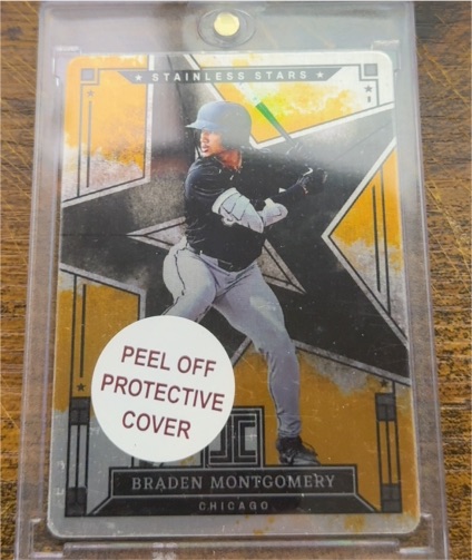 2024 Panini Impeccable Stainless Stars #SS-BM Braden Montgomery — front