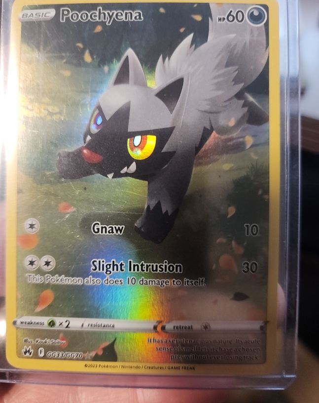 2023 Pokemon TCG Crown Zenith GG33/GG70 Poochyena — front
