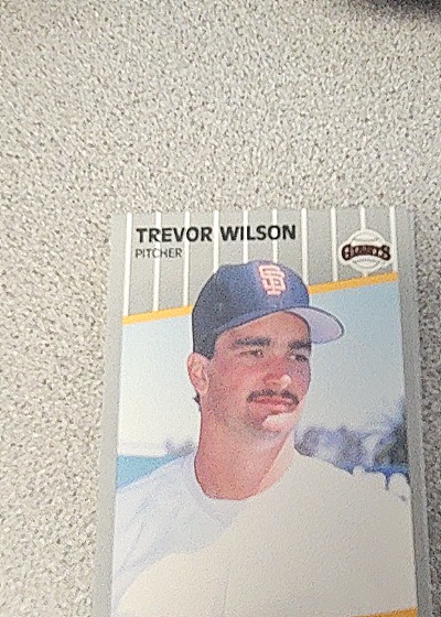 1989 Fleer #347 Trevor Wilson — front