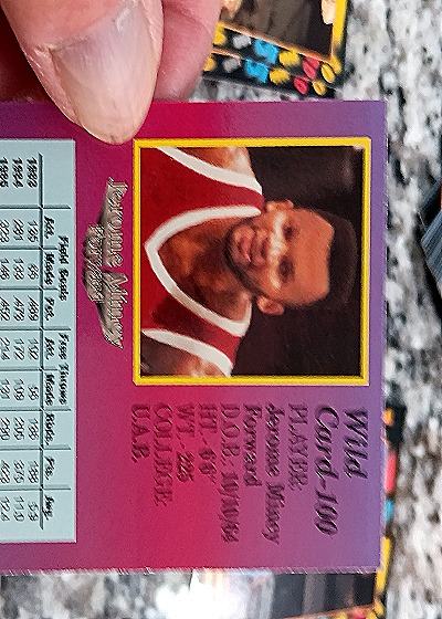 1992 Wild Card #100 Jerome Mincy — back