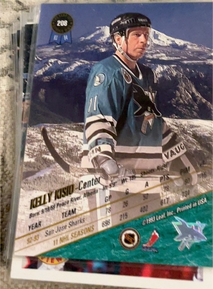 1993-94 Leaf #208 Kelly Kisio — front