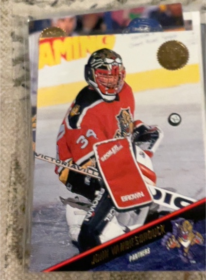 1993-94 Leaf #371 John Vanbiesbrouck — front