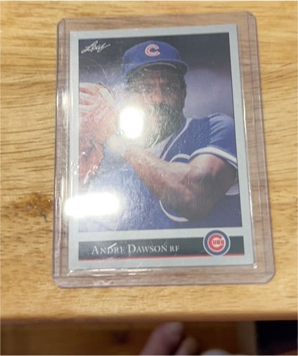 1992 Leaf #183 Andre Dawson — front
