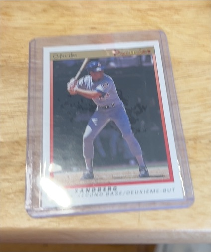 1991 OPC O-Pee-Chee Premier #103 Ryne Sandberg — front