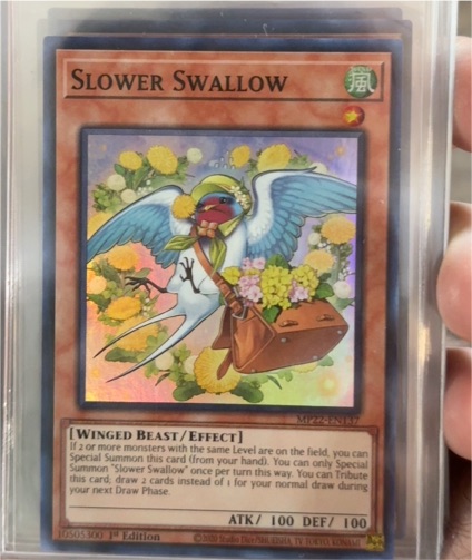 Yu-Gi-Oh! 2022 MP22-EN137 Slower Swallow — front