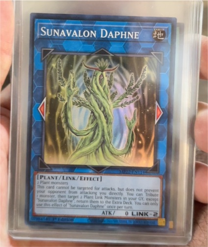 Yu-Gi-Oh! 2022 MP22-EN114 Sunavalon Daphne — front