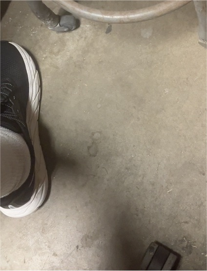 Nike Black and White Basketball Shoe — front