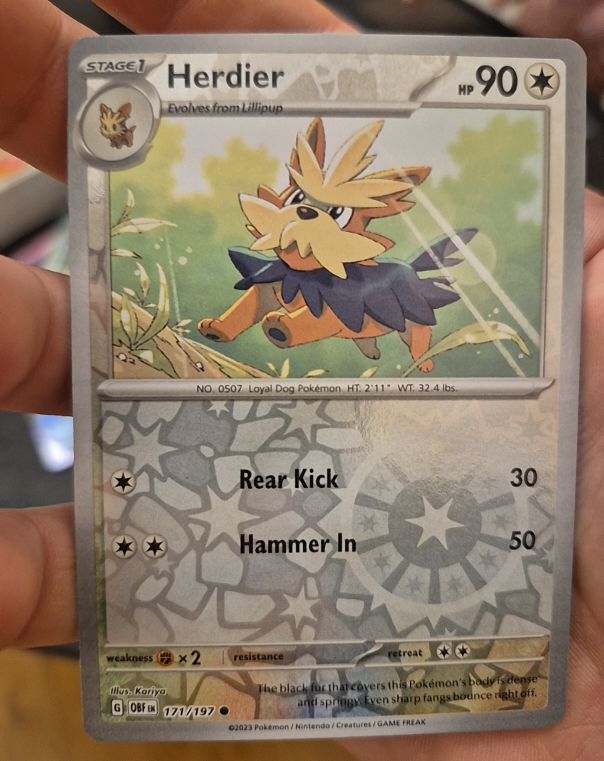 2023 Pokemon Scarlet & Violet Obsidian Flames #171 Herdier — front