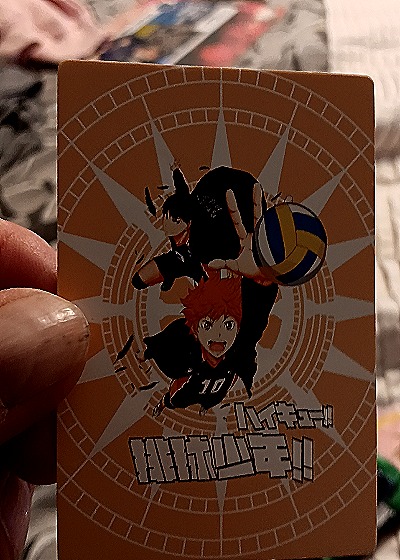 Haikyuu!! NR-006 Yu Nishinoya — back