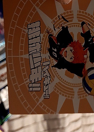 Haikyuu!! NR-010 Gyomei Himejima — back