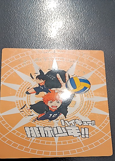 Haikyuu!! NR-010 Shoyo Hinata — back