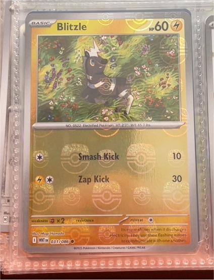 2023 Pokémon Scarlet & Violet #031 Blitzle — front