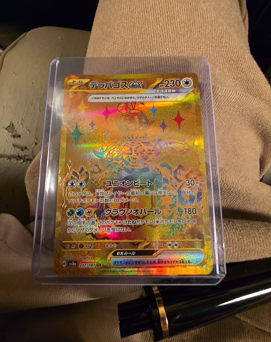 2024 Pokémon TCG Terastal Festival #237/187 Terapagos ex — front
