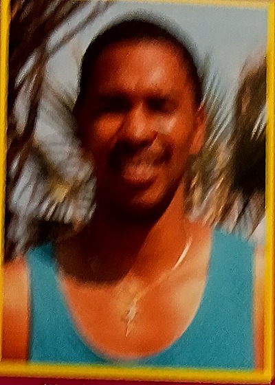 1991 Wild Card #T6 Robert Smith Cincinnati — back