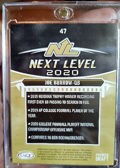 2020 Sage Hit Next Level #47 Joe Burrow — back