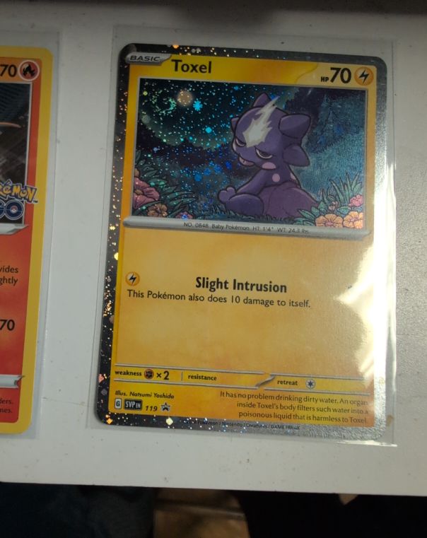 2024 Pokémon TCG Promo #119 Toxel — front
