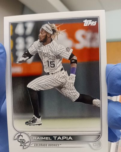 2022 Topps #15 Raimel Tapia — front