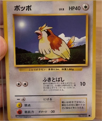 1996 Pokémon #016 Pidgey — front