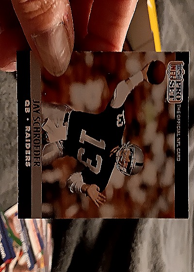 1991 Pro Set #13 Jay Schroeder — front