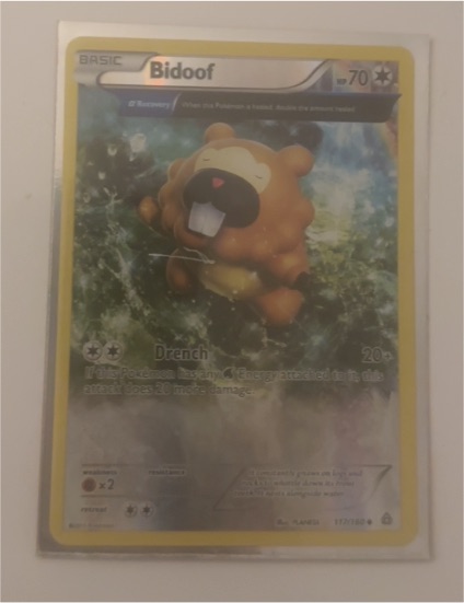 2015 Pokémon XY Primal Clash #117 Bidoof — front