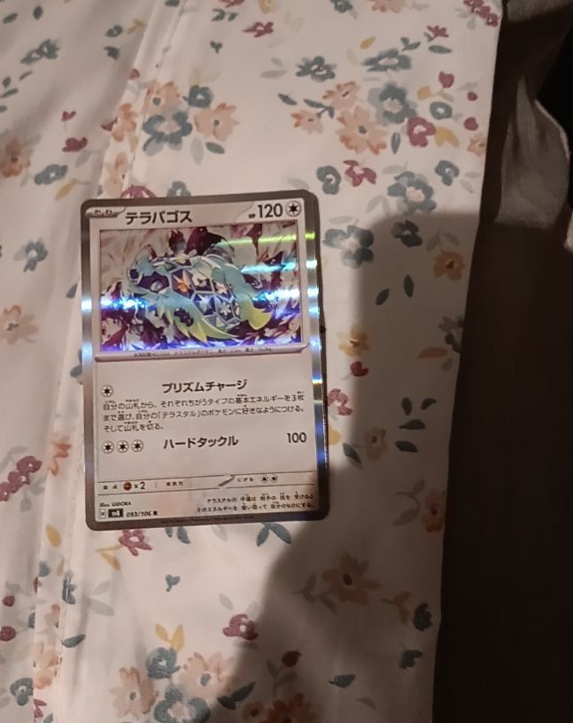 2024 Pokémon Sv08 Surging Sparks #161 Terapagos — front