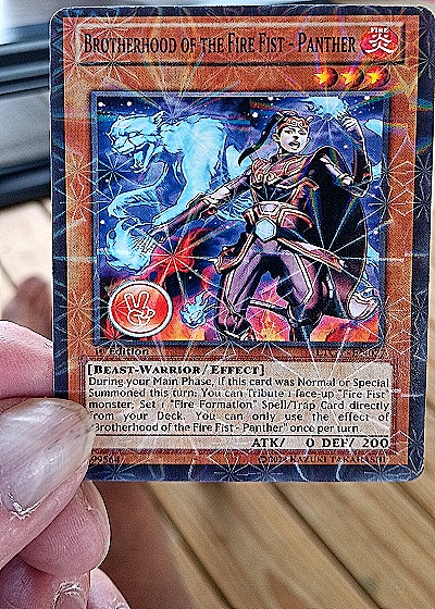 2007 Yu-Gi-Oh! Brotherhood of the Fire Fist - Panther #30950411 — front