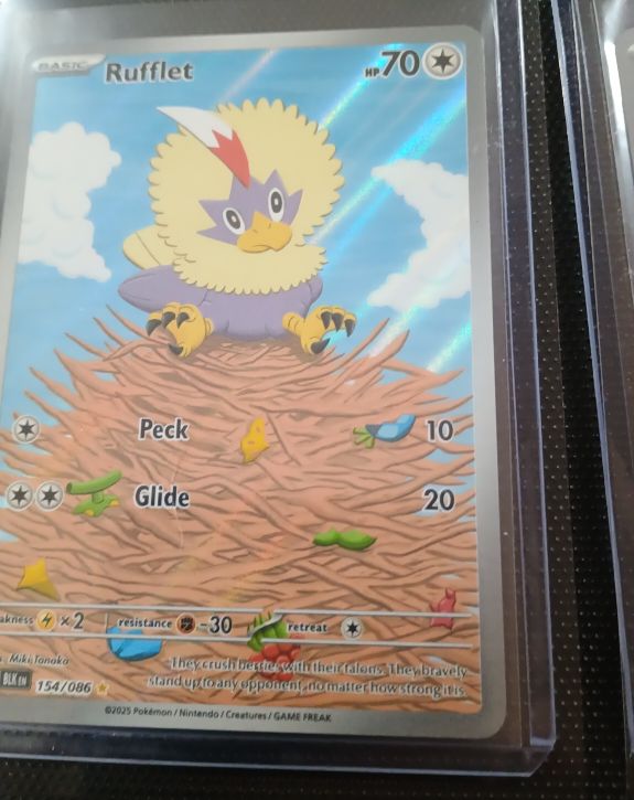 2023 Pokémon Scarlet & Violet #154 Rufflet Black Bolt Illustration Rare — front